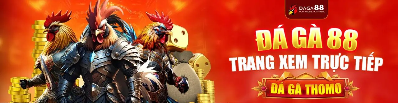 Hình ảnh giới thiệu 11bet online - Nền tảng cá cược uy tín hàng đầu Việt Nam