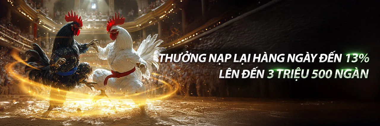 Đá gà trực tuyến 11bet online với trận đấu kịch tính